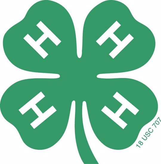 Picture of Douglas County 4-H Cloverbud Fees