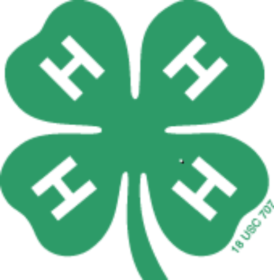 Picture of Grand County 4-H Enrollment: fees paid between Oct 1st - Dec 31st, 2025.